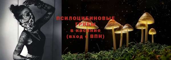 каннабис Алзамай