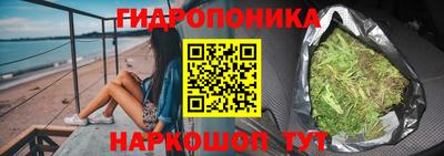спиды Камень-на-Оби
