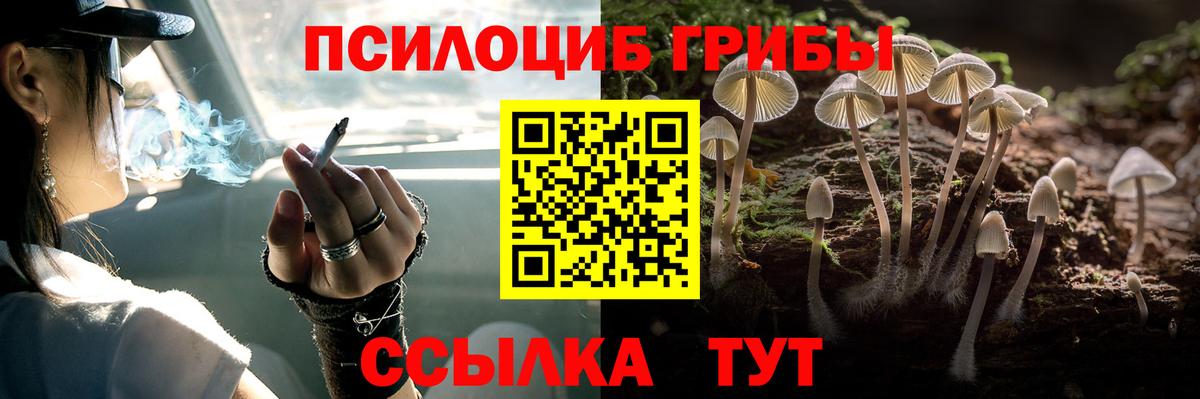 Галлюциногенные грибы Cubensis Тосно
