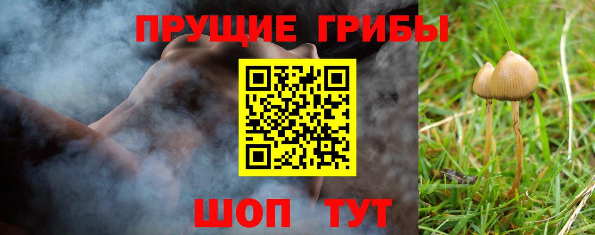Псилоцибиновые грибы MAGIC MUSHROOMS  Галлюциногенные грибы мицелий  Тосно  Вход с VPN 